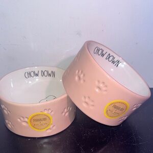 RAE DUNN Peanuts Blush Pet Bowl Duo
